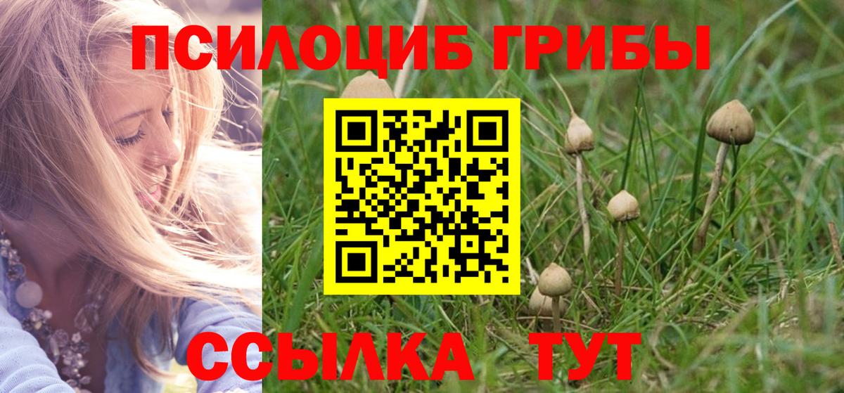 Псилоцибиновые грибы мицелий  Псилоцибиновые грибы GOLDEN TEACHER  Вход с VPN  Кондопога 