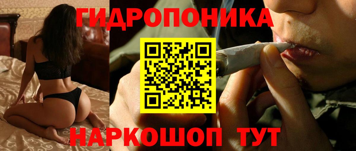 Кондопога  Марихуана семена  Вход с VPN  Марихуана OG Kush  Марихуана ГИДРОПОН  Канабис Bruce Banner 